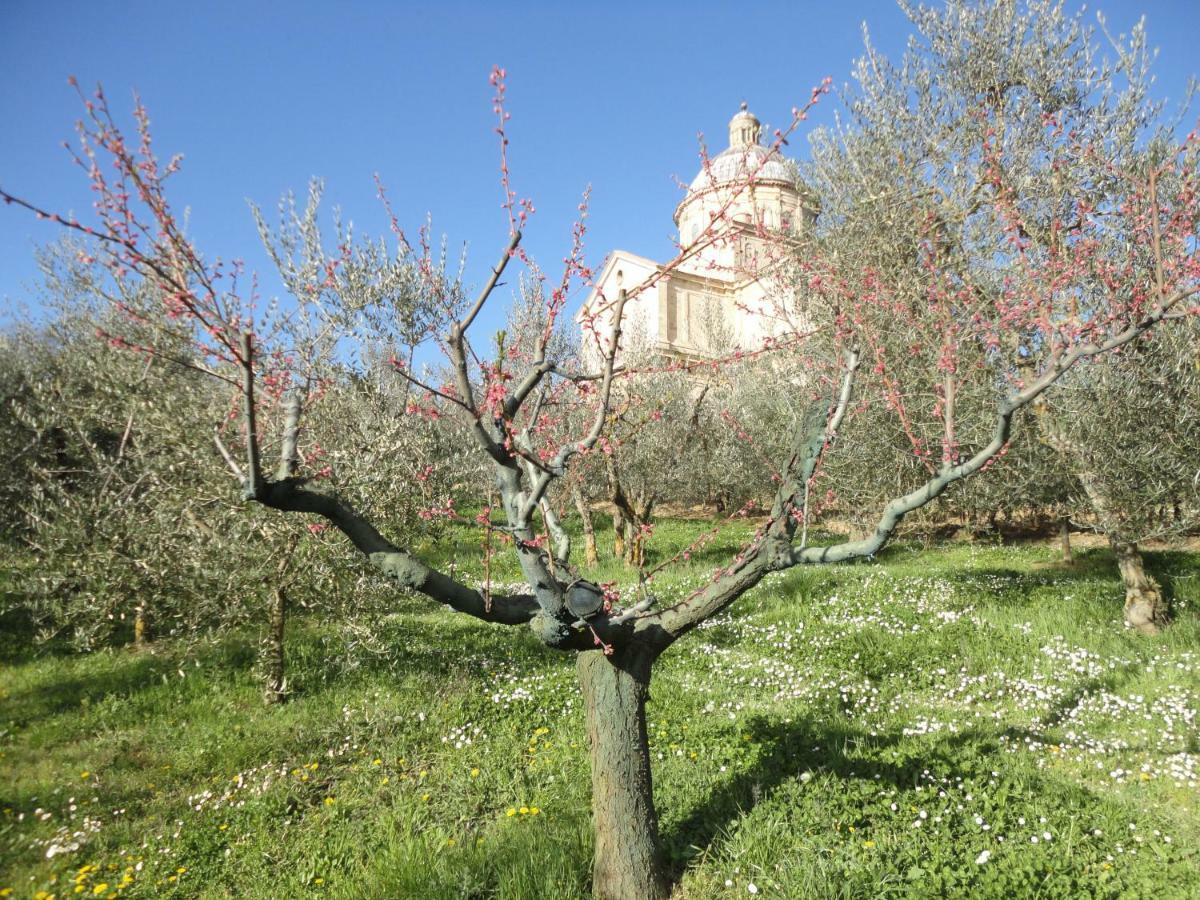 Villa Agriturismo San Biagio Montepulciano Stazione Exterior foto